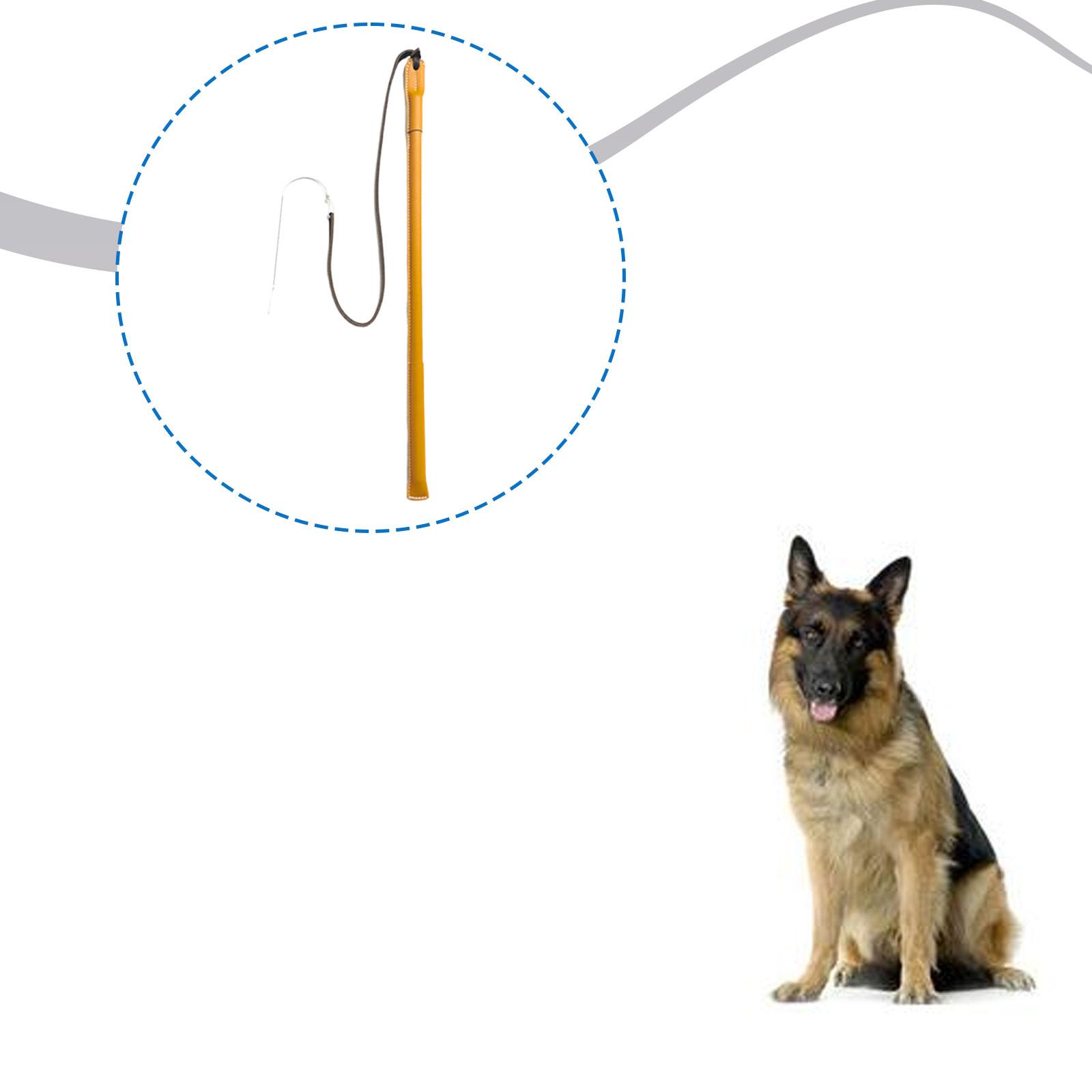 Slijtvaste PU-lederen honden t - Leatherwork Training recensie en prijs